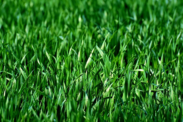 How to level a yard that already has grass