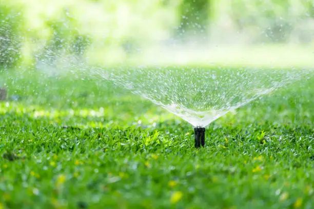 How Often Should You Water a Lawn In Rochester MN?