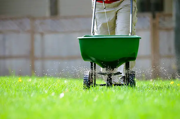 The Best Time To Fertilize Your Lawn In Rochester Mn