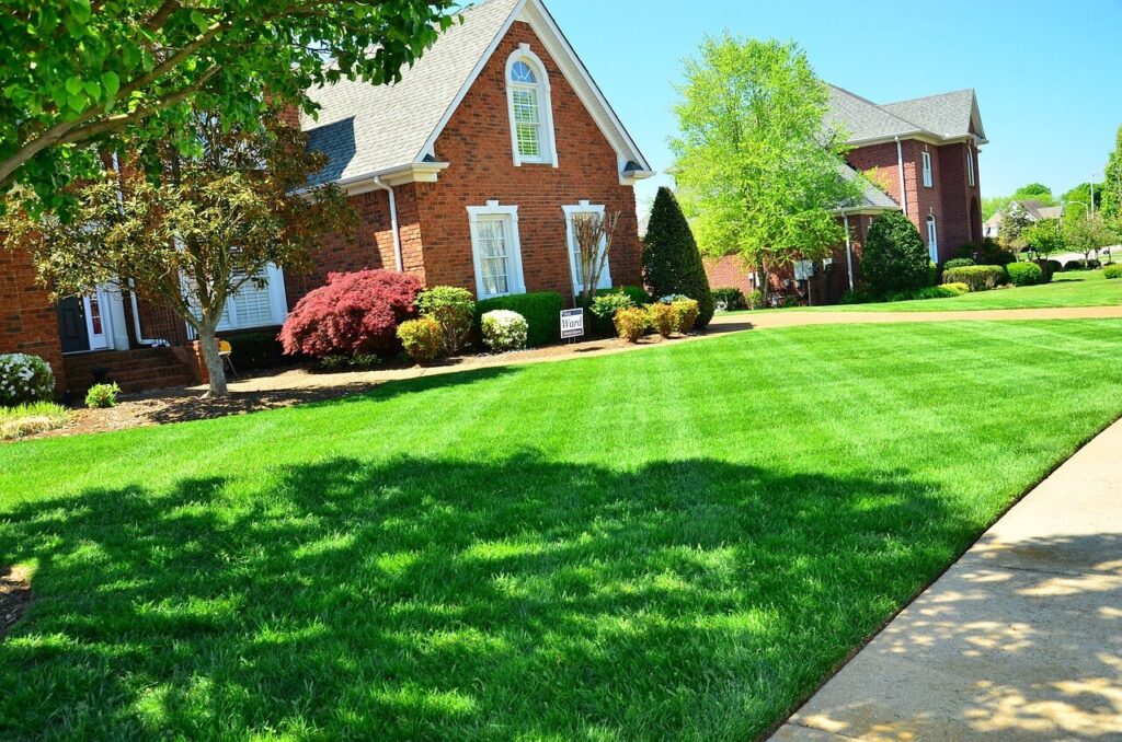 Lawn Care Rochester Mn